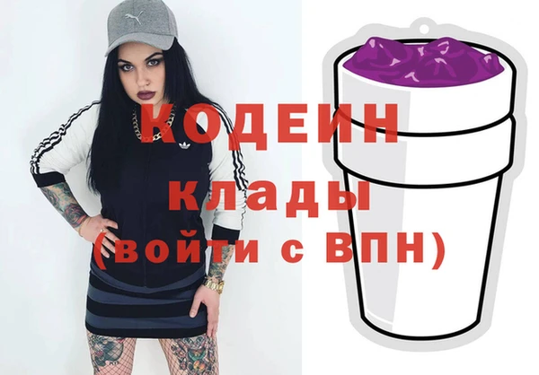 МДПВ Бородино